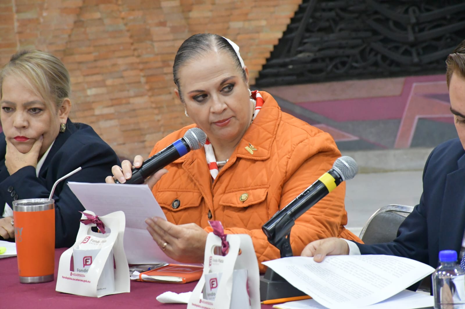 Ana María Romo cuestiona al secretario de Economía sobre inversión ...