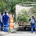 MANTENIMIENTO AL JARDÍN DE LA CALLE MEMBRILLOS DE LA COLONIA ESPARZA