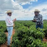 PRODUCTORES AGRÍCOLAS Y GANADEROS BUSCAN SINERGÍAS PARA DAR VALOR AGREGADO AL CAMPO: CARLOS PUENTE