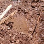 Programan reparación de fuga en Mesa de San Albino