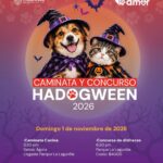FRESNILLO SE PREPARA PARA LA DIVERSIÓN Y EL TERROR CON EL HADOGWEEN 2026